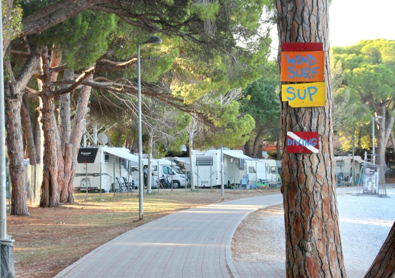 פאז'אנה Apartman Dino מראה חיצוני תמונה